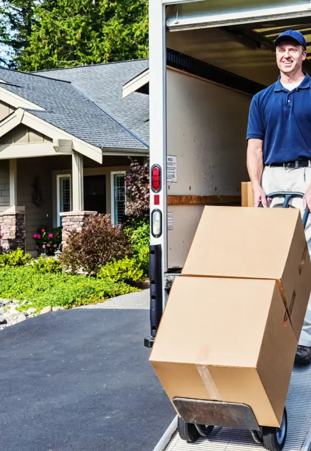 Moving Companies: The Essential Guide to Moving Boxes